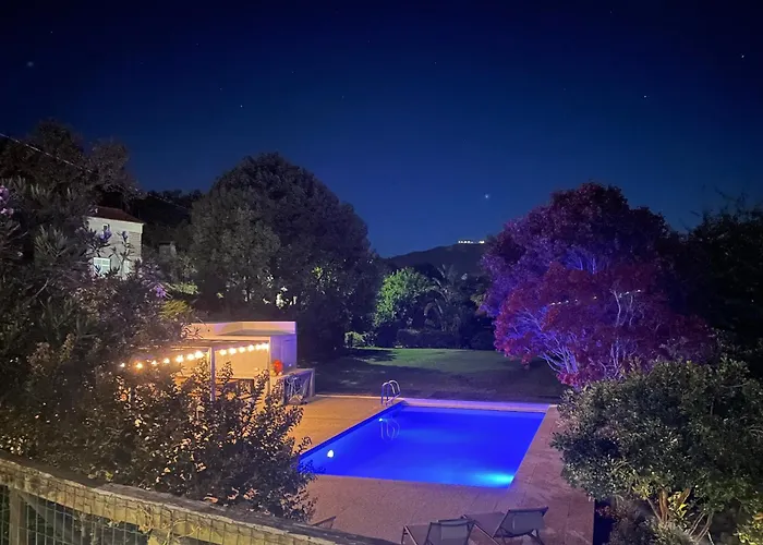 Bed & Breakfast The Quixote House Caminha