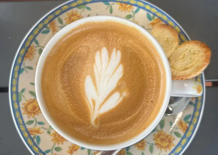 לינה וארוחת בוקר The Quixote House